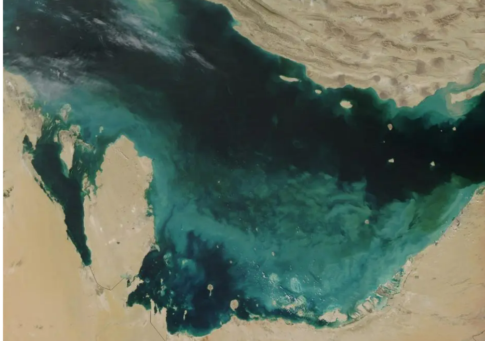 Questa immagine ha l'attributo alt vuoto; il nome del file è Screenshot-2024-12-23-100428.png