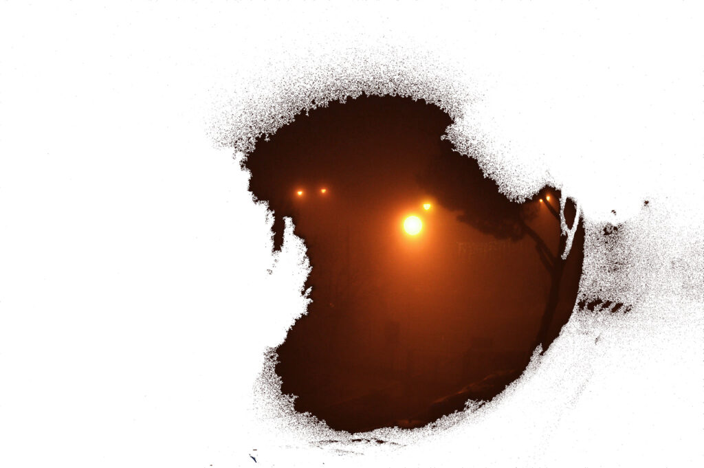 Questa immagine ha l'attributo alt vuoto; il nome del file è andrea-mucedola-126245939_1862727633885768_6008661414764554998_n-1024x681.jpg