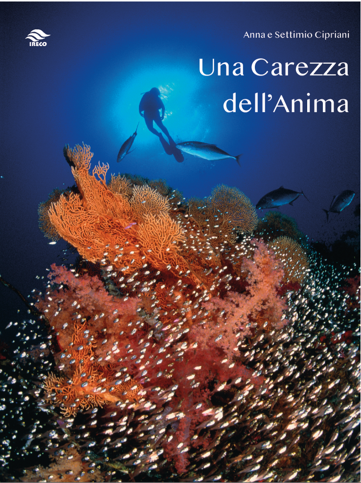 Questa immagine ha l'attributo alt vuoto; il nome del file è immagine-copertina.png