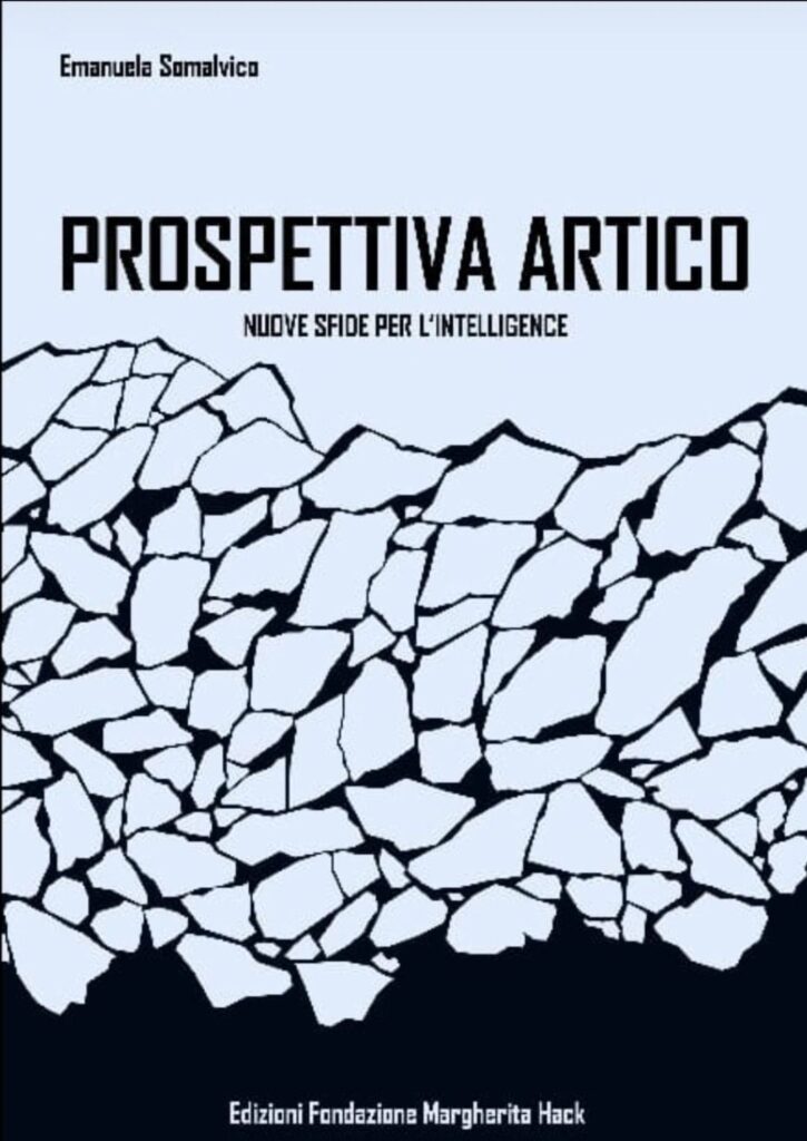 Questa immagine ha l'attributo alt vuoto; il nome del file è prospettiva-artico-725x1024.jpeg