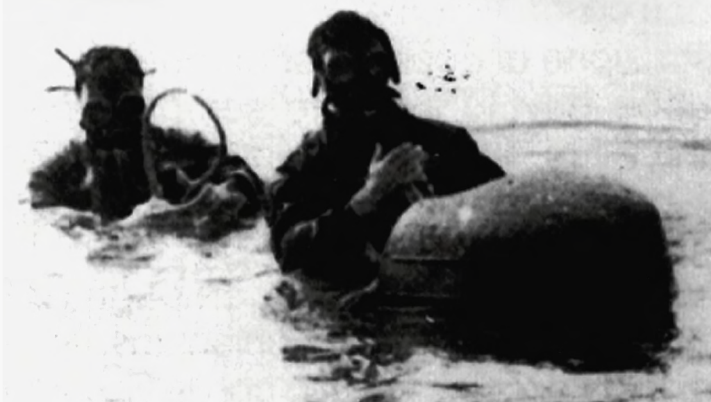 Questa immagine ha l'attributo alt vuoto; il nome del file è Screenshot-2025-02-09-111118-1024x580.png