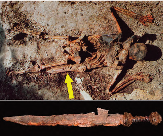 Questa immagine ha l'attributo alt vuoto; il nome del file è Screenshot-2025-02-27-193108.png