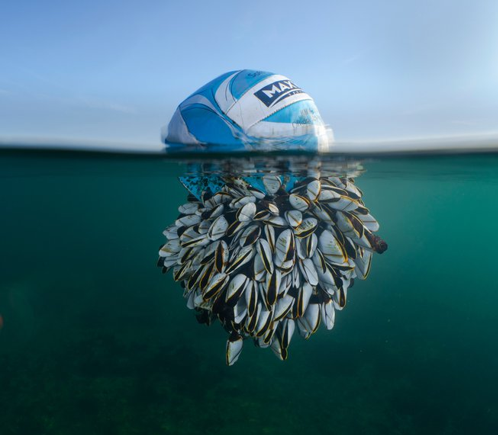 Questa immagine ha l'attributo alt vuoto; il nome del file è Screenshot-2025-03-06-193954.png