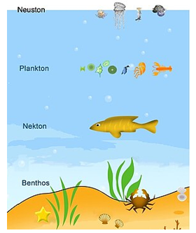 Questa immagine ha l'attributo alt vuoto; il nome del file è Screenshot-2025-03-06-194119.png