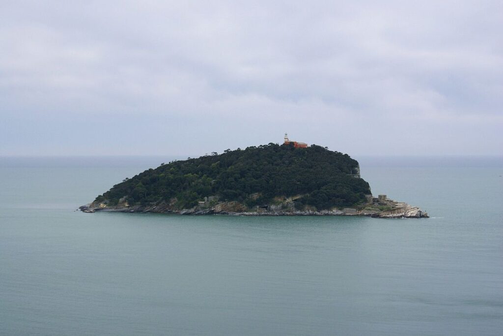 Questa immagine ha l'attributo alt vuoto; il nome del file è Isola_del_Tino_-_Panorama-1024x684.jpg