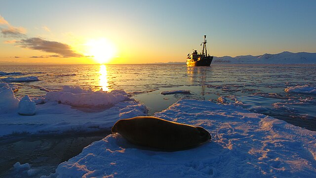 Questa immagine ha l'attributo alt vuoto; il nome del file è SVALBARD-North_life.jpg