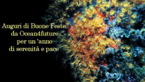 auguri 2026 parazoanthus